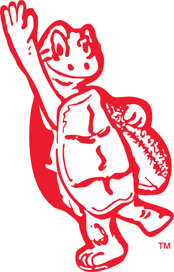 Maryland Terrapins 1951-1954 Secondary Logo diy iron on heat transfer
